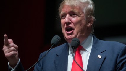 Donald Trump, in his own words