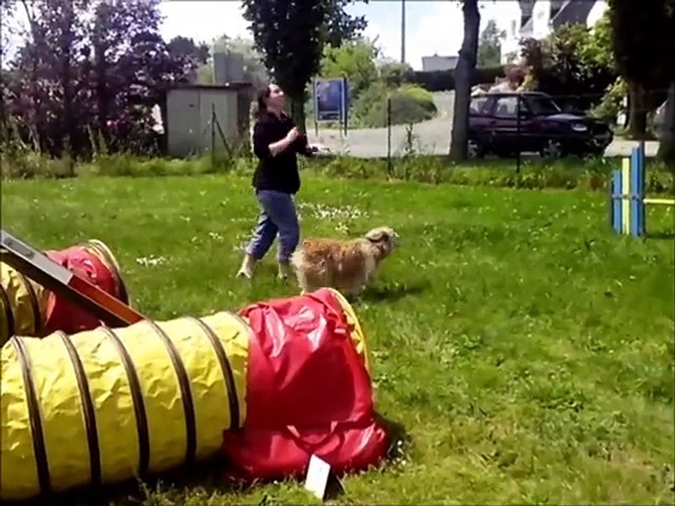 Foxie et anne entrainement du 13 juin 2015