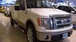 Ford F-Series Side Step, Tailgate Step, Bed Tie Down System Accessories * Brondes.com *