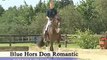Don Romantic - Elite Stallions