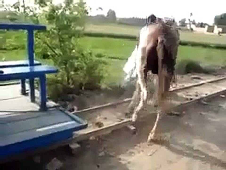 Desi Train [New Invention] -