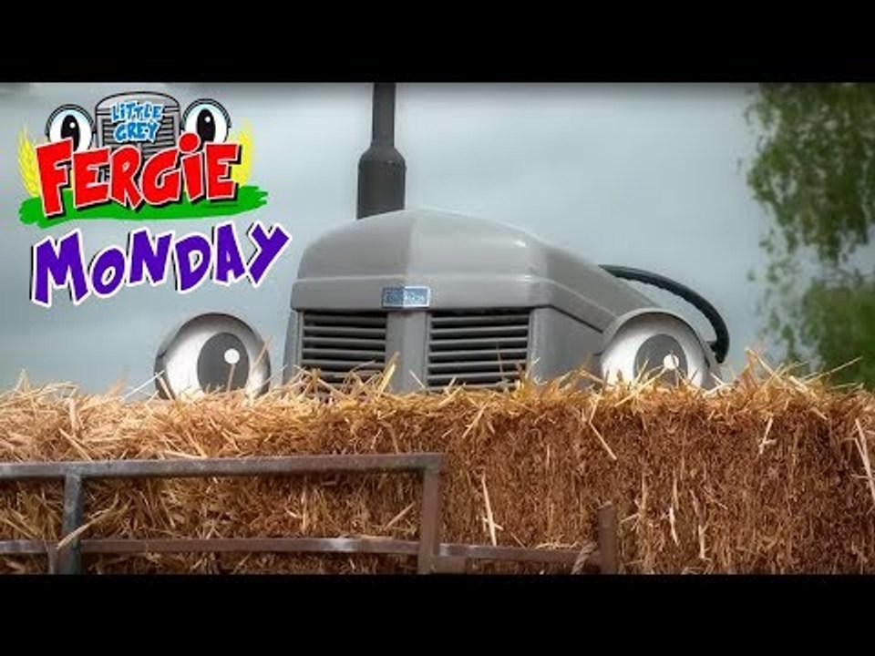 Monday with Fergie | Little Grey Fergie | ZeeKay Junior