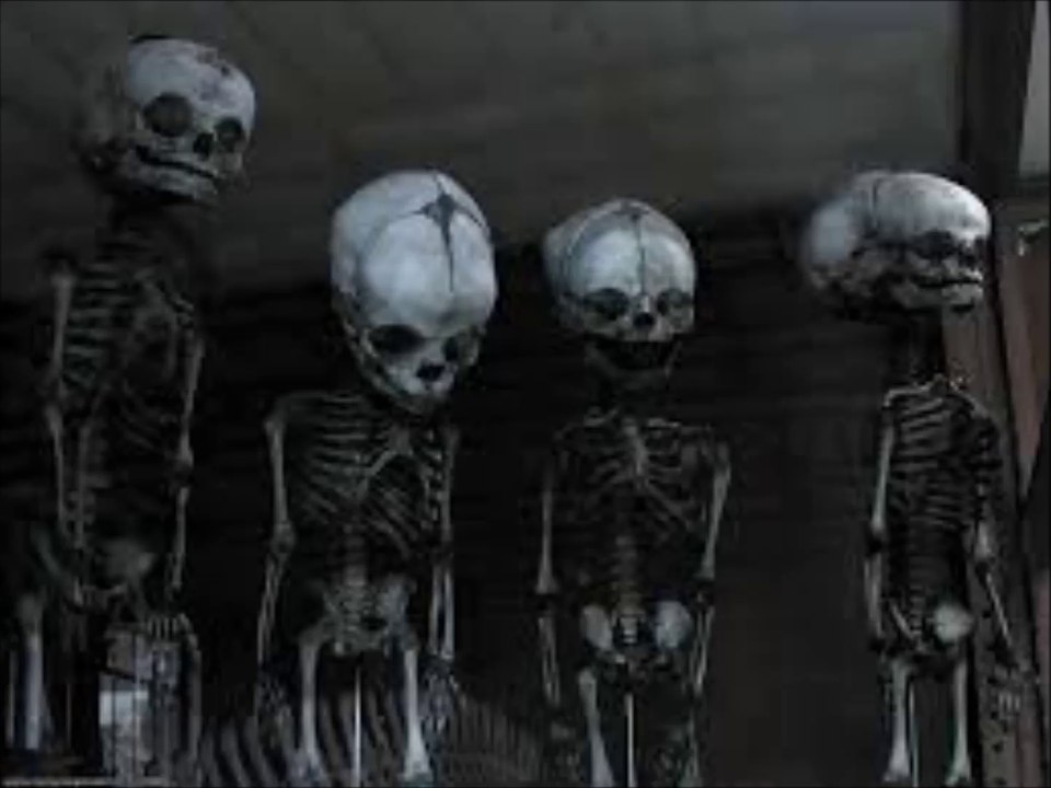 Coph Nia - Homo Sapien