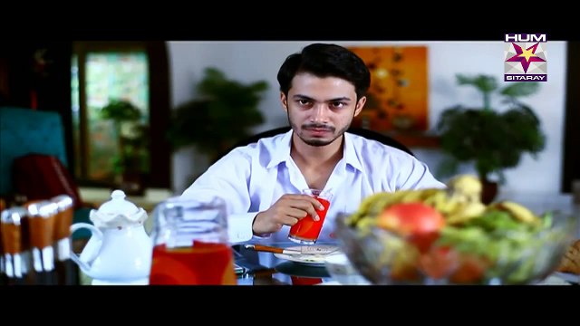 zameen Pe Chand Episode 36 - 15 June 2015 - Hum Sitarey