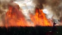 Incêndio em plantação de cana de Linhares