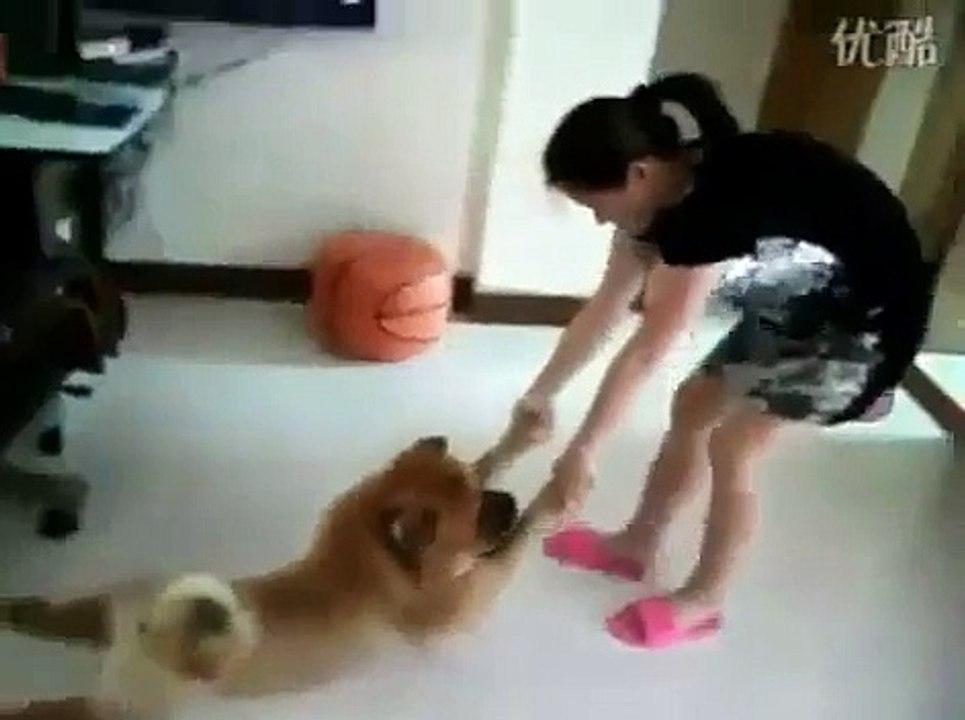 Funny Dog Plays Dead To Avoid Bath!