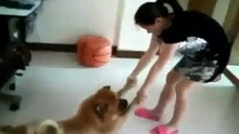 Funny Dog Plays Dead To Avoid Bath!