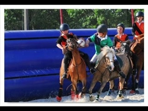 Lamotte jeune horse-ball 2006