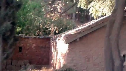 في الطريق الى تمارووت -tamarout