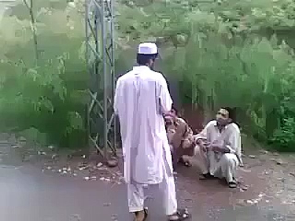 pthan fun