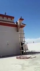 ladder fun ;) teasing your best friend