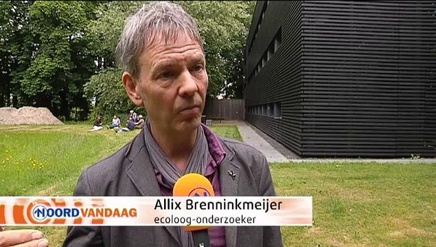 Tussen 600 en 3000 vogels sterven door windmolens in de Eemshaven - RTV Noord