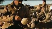 Crazy Animal Video - Cowboys Herding Cats! FUNNY
