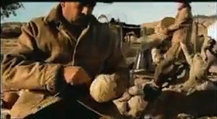 Crazy Animal Video - Cowboys Herding Cats! FUNNY