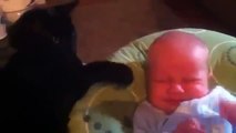 Cutest Baby EVER Gets Stroked By Cat - Amazing!