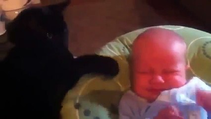 Cutest Baby EVER Gets Stroked By Cat - Amazing!