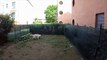 Dog Fails Golden retriever trying to catch a tennis ball PILGRIM Catching attemps