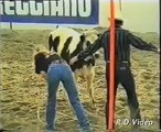 RDVideo - Cadute cavalli