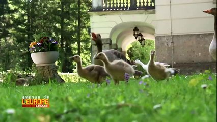"Avenue de l'Europe" : Leopoldskron, château de rêve pour mariage de princesse