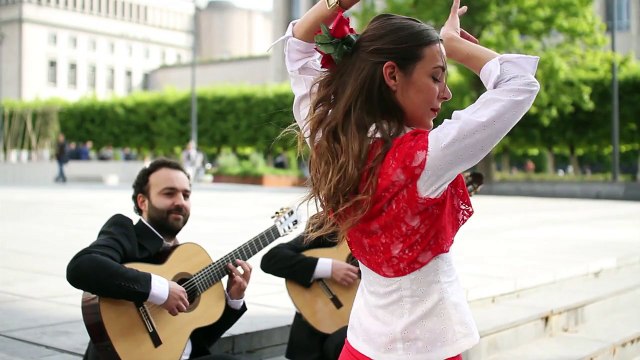 Tic-Toc-Choc ou les maillotins (F. Couperin), extract from the CD Tic-Toc-Choc ou la révolte des maillotins by SYBRANDUS