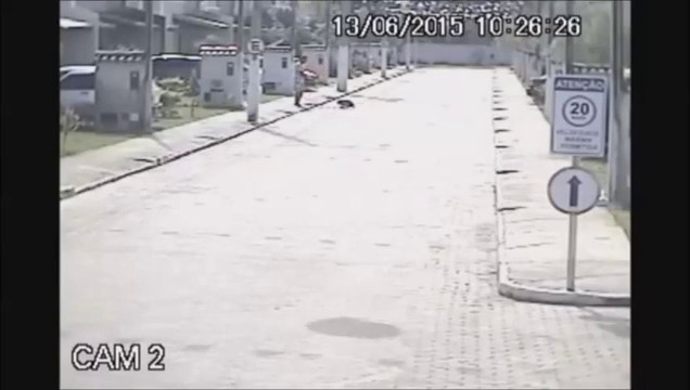 Cachorro é morto a tiros por policial após discussão em condomínio