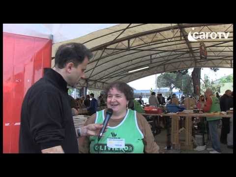 Icaro Tv. 35° Campo Lavoro, i volontari del centro di Rimini