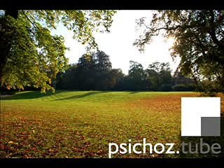 K Young - If you were my girl