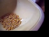 Popping popcorn in a reusable microwave bowl with no oil