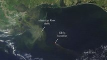Gulf of Mexico Oil Spill: 35 Days From Space [720p]