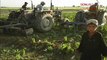 Opium Poppy Crisis: Eradication of Afghan Farmers (May 06)