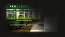 Hire Pro-Lawns for Snow Removal St Louis