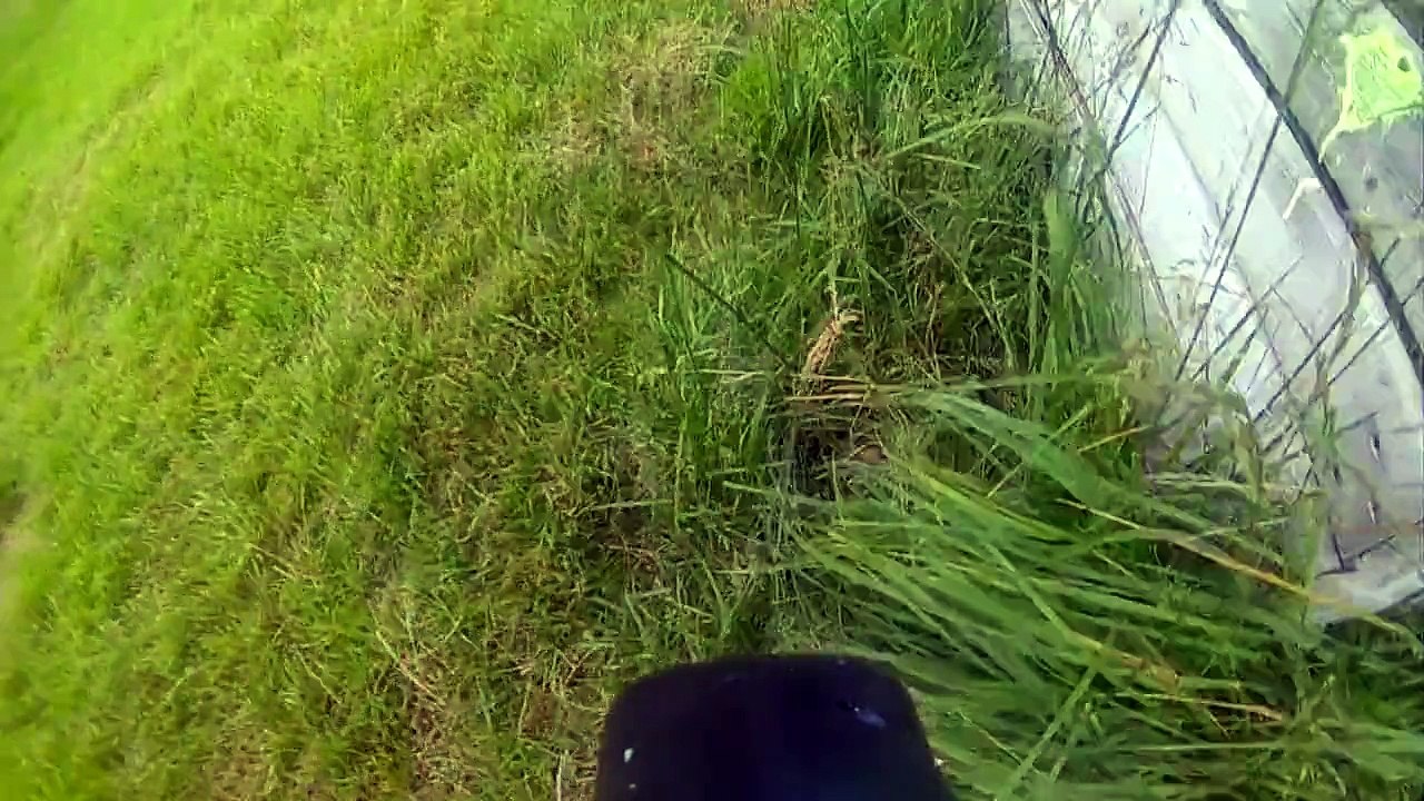 Paintball eendracht adventures "Het kistenveld"