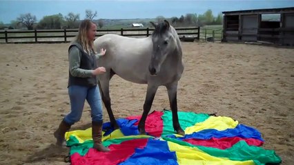 Spanish Mustang, Excalibur, and the Parachute