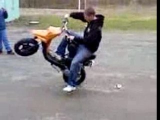 Crash Buch: A Quick Overview