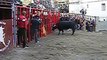 Gestalgar algun recorte bueno toros y vacas fiestas taurinas  10 02 13 El Legionario Solitario