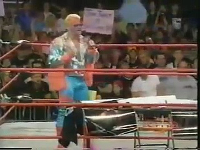 WCW Sting vs Fake Stinger / Jeff Jarrett (Nitro 2000) TNA