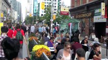 TIFF Street Festival - The 2014 Toronto International Film Festival