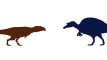 PDFT - Giganotosaurus vs Spinosaurus