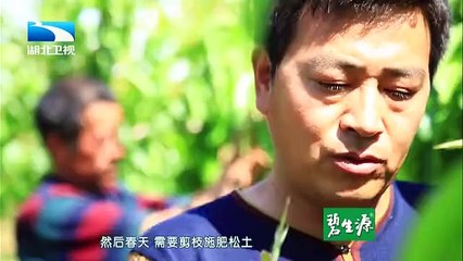 20150615 大王小王  儿子“骗”妈妈来录像 圆母亲望子成龙梦