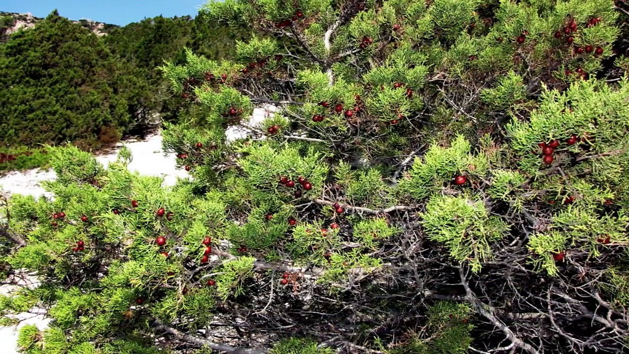 Arcipelago della Maddalena - Le più belle spiagge