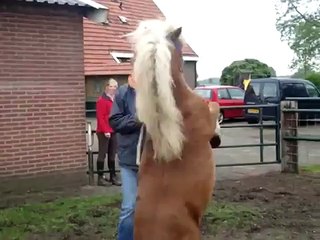 Flip and Sara, first attempt: FAILED! :")