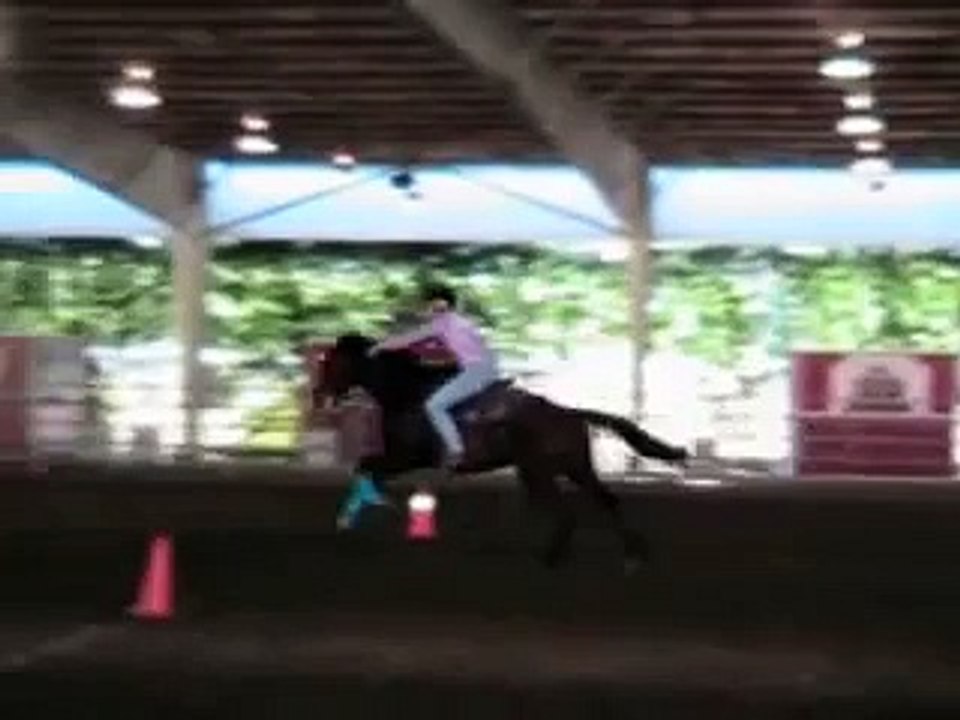 rose kicks a$$
