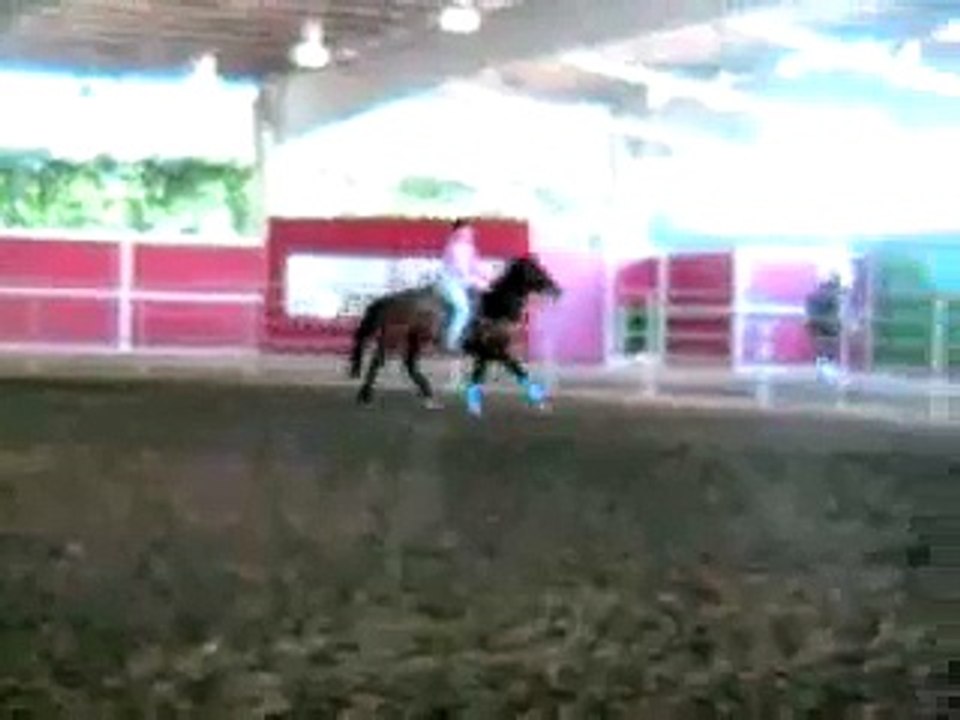 rose kicks a$$