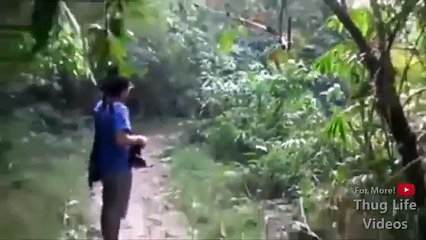 Animal Thug Life Compilation #3