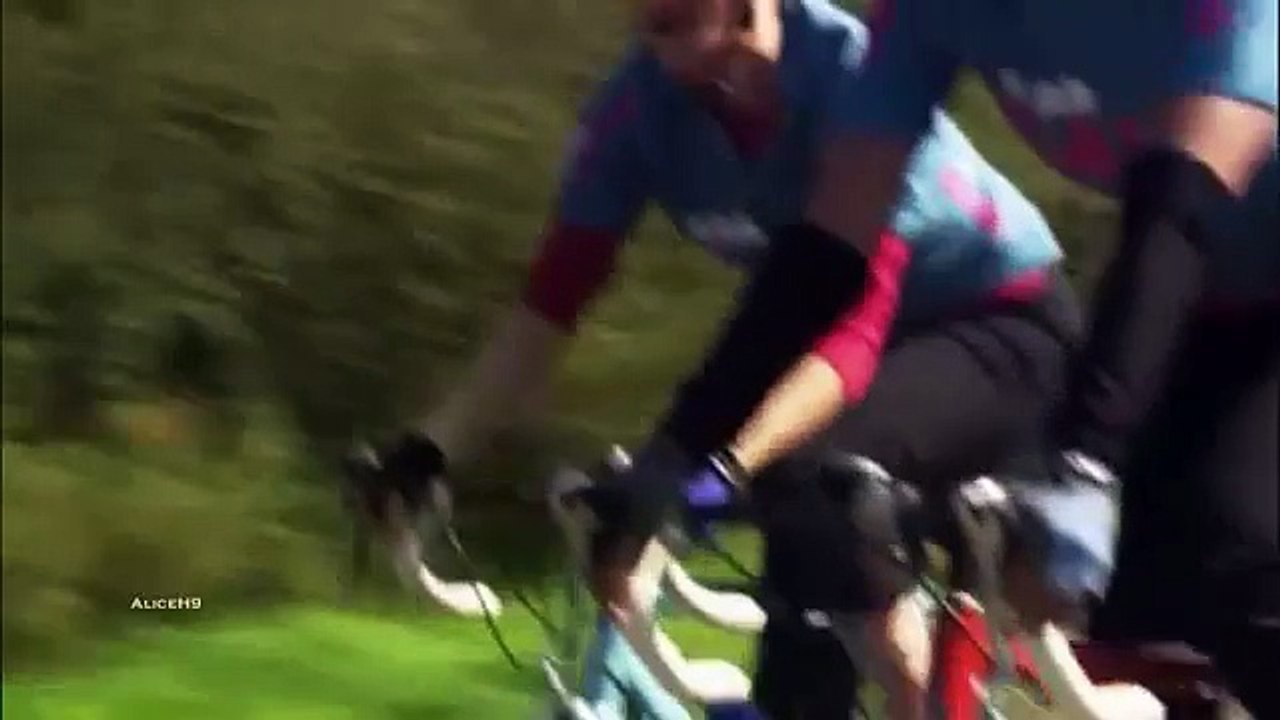 Tibette - You Will Be Safe...