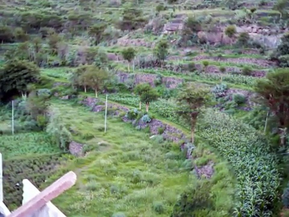 ايوب طارش ----- أراد ياعواد مع صور من اليمن