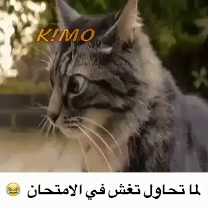 when you want to cheat !!!!