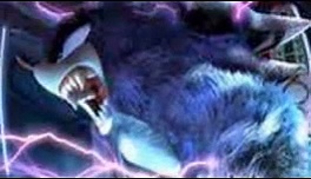 Sonic Herisson Garou