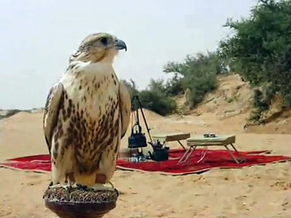قبيلة يافع