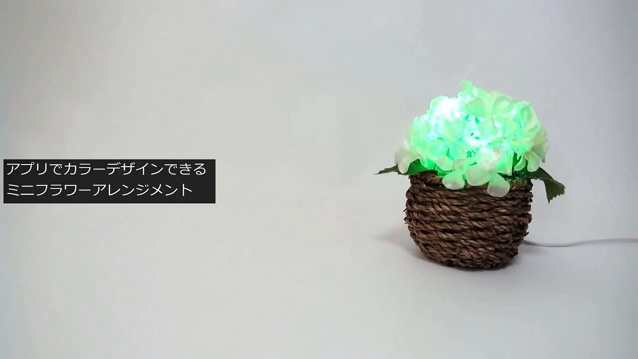 Fruit Desk Cup Digifla Video Dailymotion